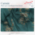 Carmic King Size 100% Cotton Bedsheet with Pillow Covers by Florida